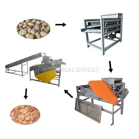 Garis pemrosesan almond sheller dan pemisah
