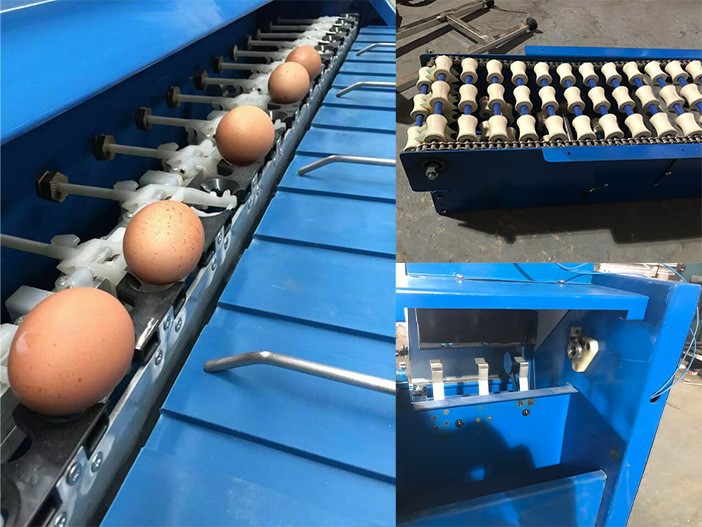 Egg grader Egg grader